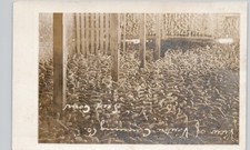 CANNING CO SEED CORN vinton ia c1920 postcard iowa real photo rppc upside down picture