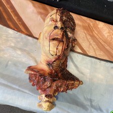 Halloween Prop Insanely Gory Decapitated Head prop. Definitely Customized. Wow picture