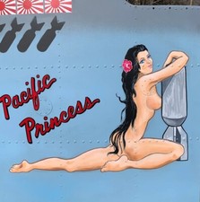 Hand-Painted Nose Art Panel on Riveted Aircraft Aluminum, WWII Aviation NAP-0153 picture