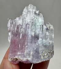 241 CT Fluorescent Top Lastruos Echites Kunzite Crystal From Afghanistan picture
