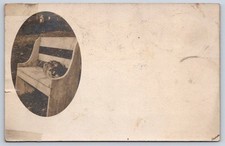 Schenectady Antique Cat Sleeping on Garden Bench Oval Vignette 1906 RPPC picture