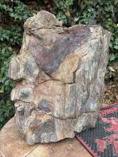 ☘️RR⛏️: Rough Full Round Detailed New Mexico Petrified Wood 111 Lb. 🪵 picture