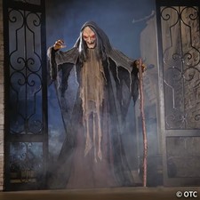 5FT Animated Halloween Witch Standing Decoration Motion Activated Outdoor Indoor picture