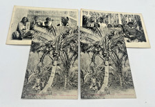 Antique Lot Of 4 1907-1910 French Tahiti Hawaii Unposted Postcards Photographs picture