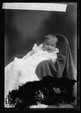 Photo:Fitzhugh picture