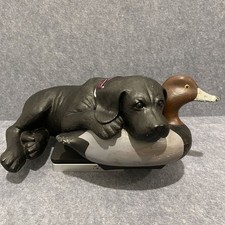 Big Sky Carvers After Practice Bradford Williams Black Lab Duck Decoy Figurine picture