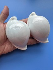 Set of 2 | 91.3mm & 91.6mm| Ovula ovum | GIANT size | Nice Eggshells picture