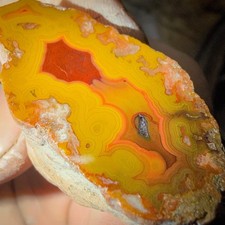 Top Shelf Candy Dish Kentucky Agate. Mirror Polished Old Stock Half Nodule A+ picture