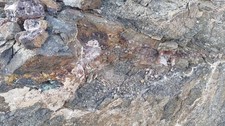 20 Pounds Of Gold Ore picture