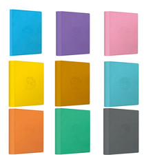 2026 Pokémon Chinese Scarlet & Violet Eeveelutions Collection Binder 9 Styles picture