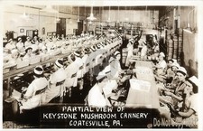 Partial View Keystone Mushroom Cannery Coatesville PA RPPC Photo Postcard COPY picture