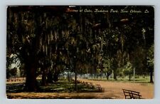New Orleans LA- Louisiana, Audubon Park, Avenue of Oaks Outside Vintage Postcard picture