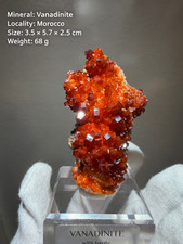 Classic Red Vanadinite Crystal Cluster – Cactus-Like Formation – Morocco – 68g picture