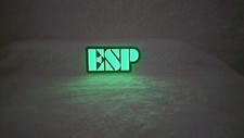 ESP Guitars Glow In The Dark Sticker picture