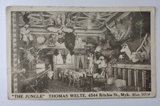 1938 The Jungle Thomas Welte Trade Card Postcard Genuine Mounted Animal Heads picture