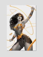 Wonder Woman Amazon Warrior Premium Giclee Print Poster 11x17 DC Comics Wall Art picture