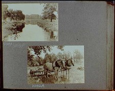 Photo:1919-1920 Stream Through Grasses Horse Team Plow Rural Landscape picture
