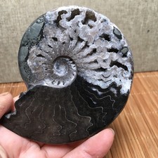 136g  Natural polishing black Stone sculptor decoration specimen fb1941 picture