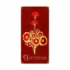 NASTURTIUM RED FLOWERS 24