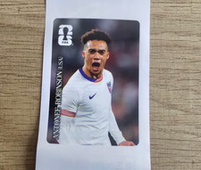Coca-Cola PANINI FIFA 2026 World Cup Antonee Robinson USA and Martinez picture