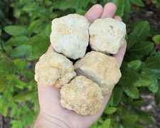 Break Your Own Geodes: Choose How Many Pieces, Large Unopened Moroccan Crystals picture