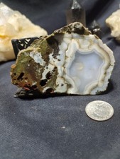 Hampton Butte Petrified Wood Unpolished Slab Specimen (8oz) picture
