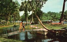 Vintage Postcard Silver Springs Home Of World Famous Glass Bottom Boats Florida picture