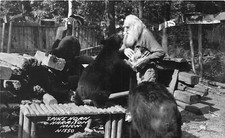 H32/ Harrison Michigan RPPC Postcard c40s Spikehorn Black Bear Den 4 picture