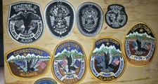 Patch ~ ALASKA AK DOC CORRECTIONS VERY RARE TRAINING BULLION VEST/HAT SET/11 picture