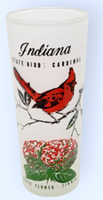 VTG Indiana State Bird Flower Map Frosted Tall Tom Collins Souvenir Glass(es) picture