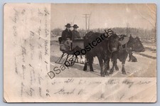 K61/ Kewadin Michigan RPPC Postcard c1910 Cattle-Drawn Snow Sleigh 183 picture