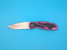 Kershaw 1670PURBDZ Blur Folding Knife CTS-BDZ1 Stonewash Purple Limited Edition picture
