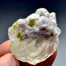114 CT Terminated Natural Tourmaline Crystals bunch on Quartz From Afghanistan picture