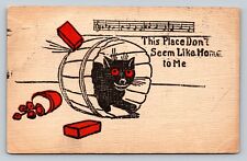 c1908 Black Cat Music This Place Don't Seem Like Home To Me ANTIQUE Postcard picture