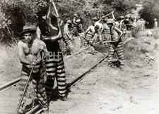 1950s Prison CHAIN GANG 5x7 Borderless Photo (155-M) picture