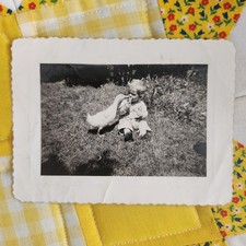 VTG B&W Snapshot Photo 1940s Sweet Little Boy And Duck Playing Yard picture