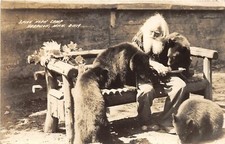 H32/ Harrison Michigan RPPC Postcard c40s Spikehorn Black Bear Den Feed 19 picture
