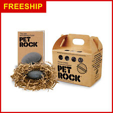 Pet Rock The Original by Gary Dahl picture
