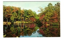 Southampton Long Island NY vintage postcard unposted picture
