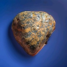 Nephrite Jade Green Rock Rough Natural Stone Gem North Cascades picture