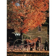 Autumn Arrival at the Homestead 1970s Retro Kitsch Wall Art Print SE10 picture