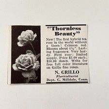 Thornless Beauty N. Grillo Floriculturist Milldale CT 1939 Ad TAK4-S28 picture
