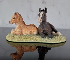 Vintage Border Fine Arts Spring Arrivals B0008 Shetland & Cob Foals Anne Wall picture