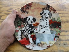 THE HAMILTON COLLECTION - YOU MISSED A SPOT - DALMATIONS - COLLECTOR PLATE picture