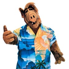 ALF Comedia 1986 TV Series Completas 4 Temporadas (102 Episodios) / En ESPAÑOL picture