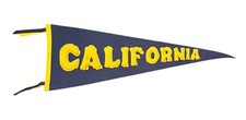 Vintage 1930's University of California Cal Rustic Sewn Letter 29
