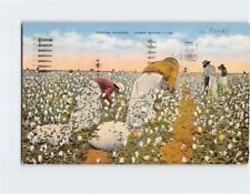 Postcard Cotton Pickers 