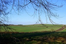 Photo 6x4 Countryside north of Crows Foot Compton/SU5280 Taken from the c2009 picture
