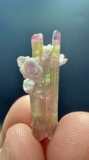 15.60 Carats An Outstanding Beautiful Bi Colour Terminated Tourmaline Crystal picture