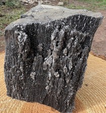 ☘️RR⛏️: Rare Fire Layer Woodworthia Petrified Wood Druzy Smoky NE AZ. 2.25 Lb 🔥 picture